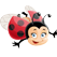 biedronki
